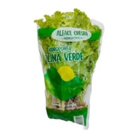 ALFACE CRESPA HIDROPÔNICO (UNIDADE)